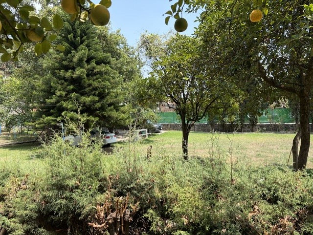 []